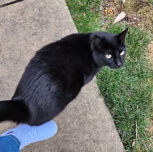 Meet your Posher, Arielle